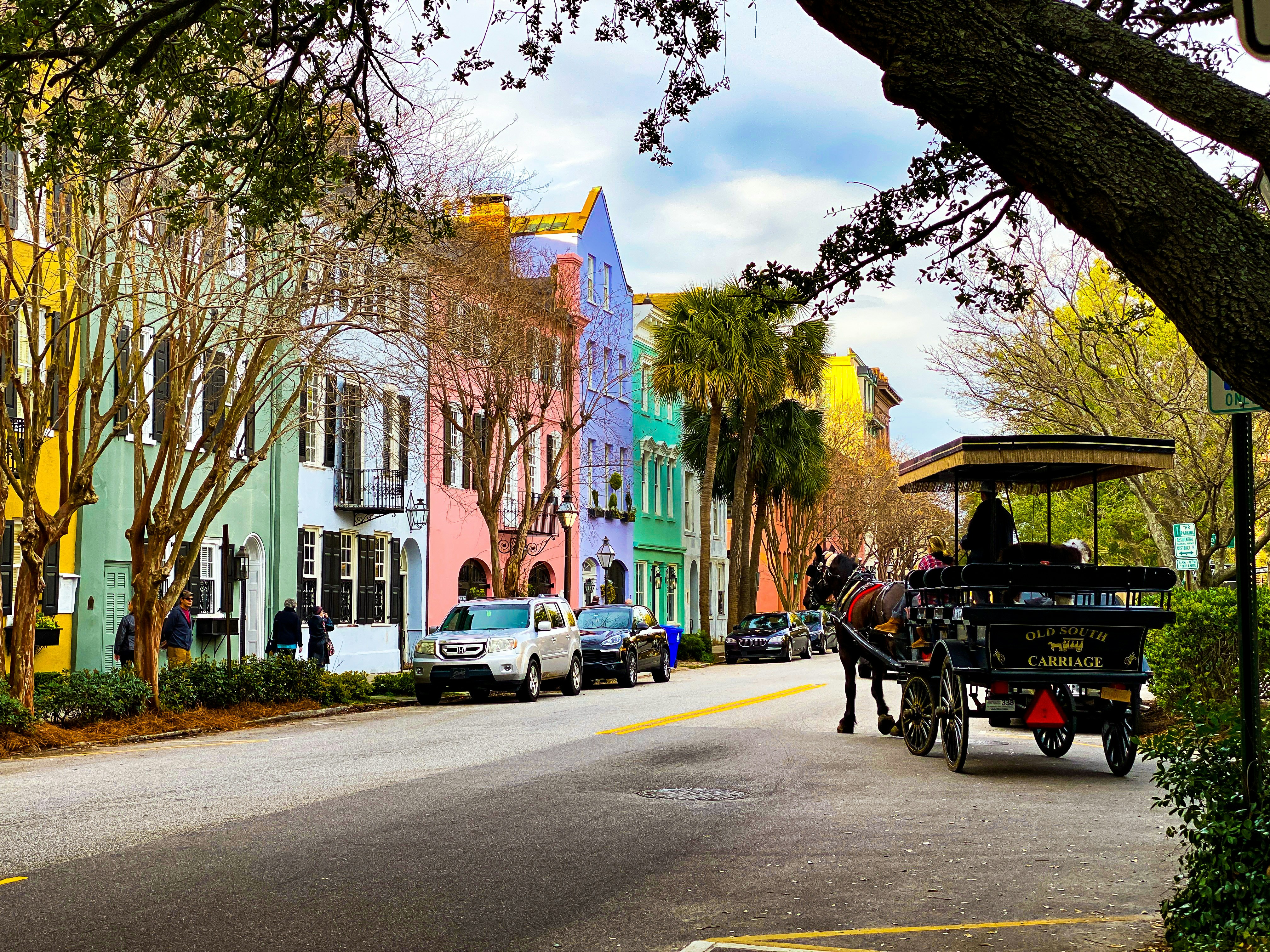 Spring in Charleston: What New Residents Should Expect